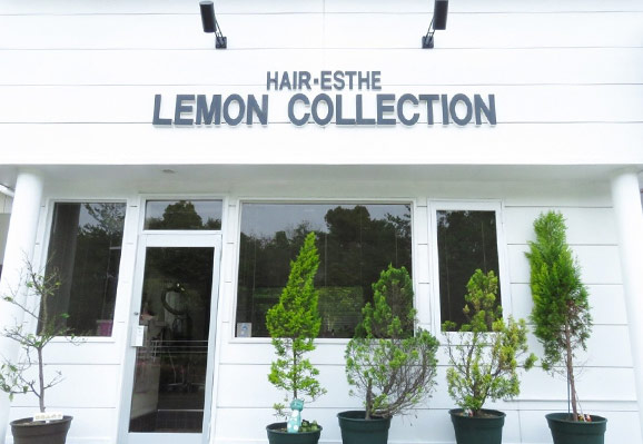 レモン コレクション