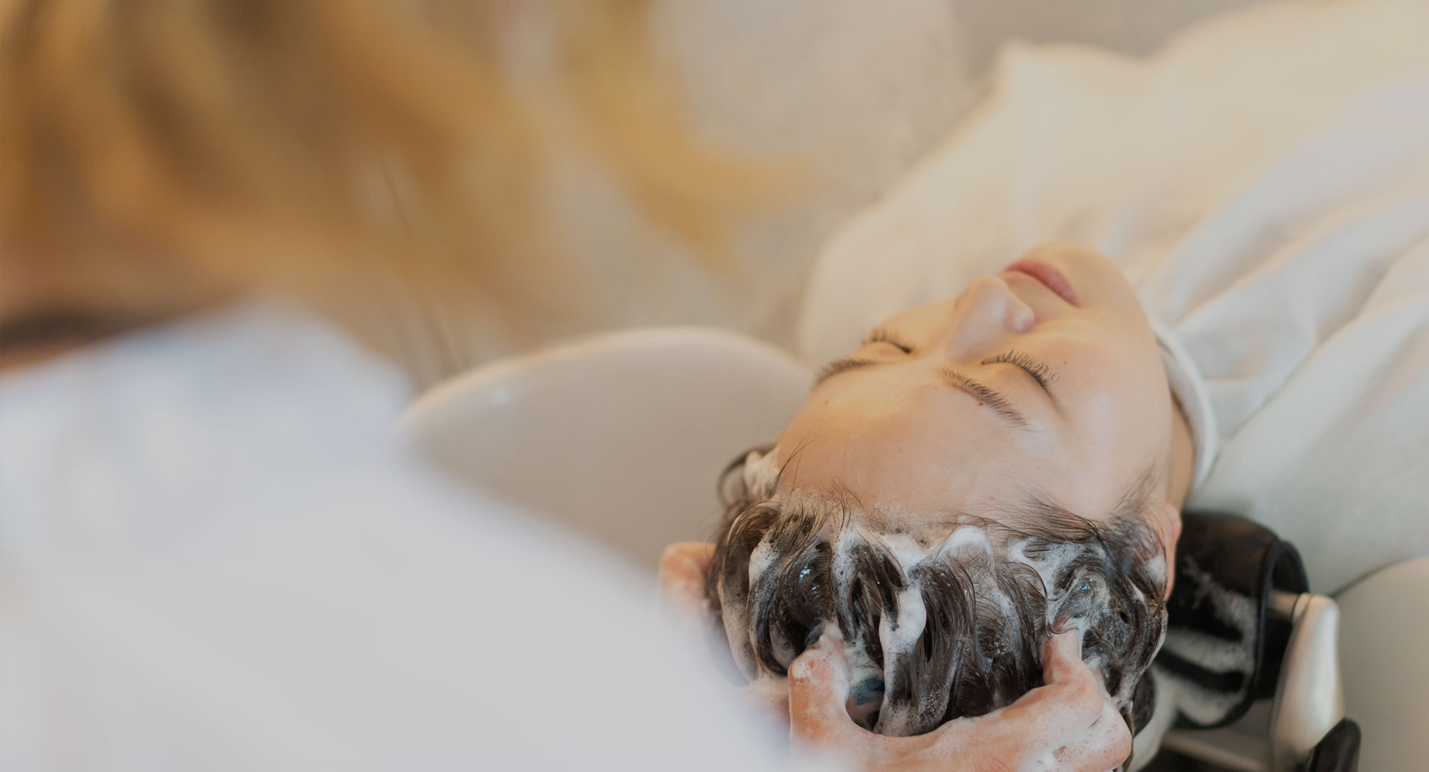 レモン コレクション