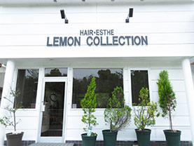 レモン コレクション